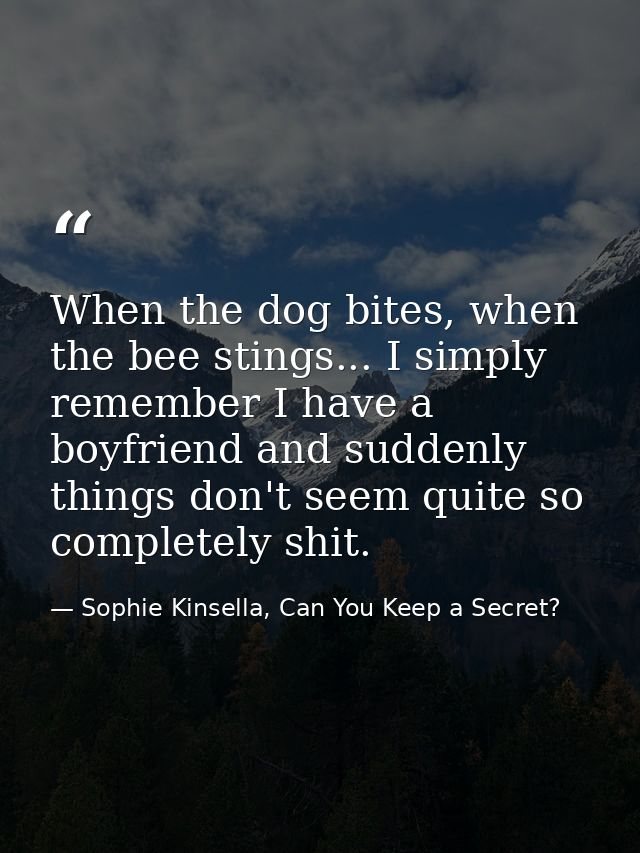 When the dog bites, when the bee stings... I simply remember I have a boyfriend and suddenly things don't seem quite so  — Sophie Kinsella, Can You Keep a Secret?