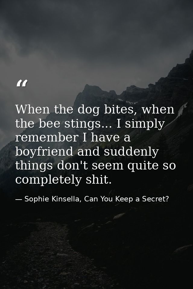 When the dog bites, when the bee stings... I simply remember I have a boyfriend and suddenly things don't seem quite so  — Sophie Kinsella, Can You Keep a Secret?