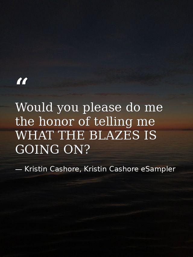 Would you please do me the honor of telling me WHAT THE BLAZES IS GOING ON? — Kristin Cashore, Kristin Cashore eSampler