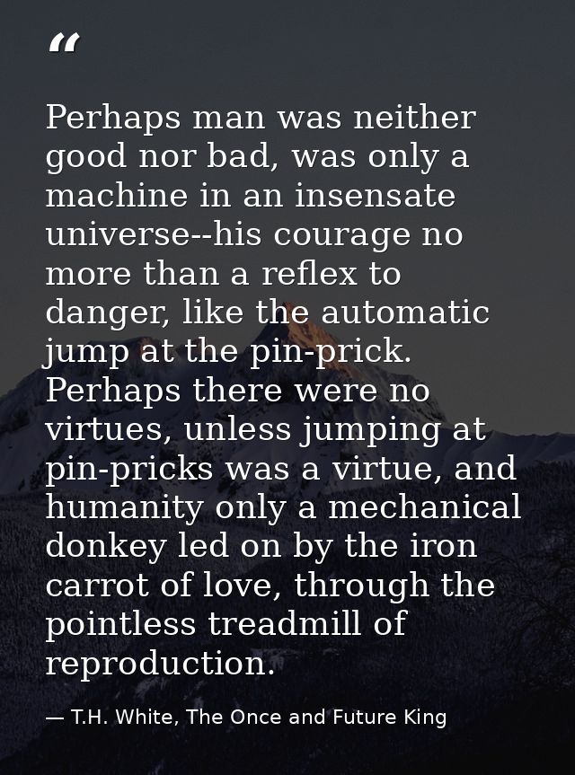 Perhaps man was neither good nor bad, was only a machine in an insensate universe--his courage no more than a reflex to  — T.H. White, The Once and Future King