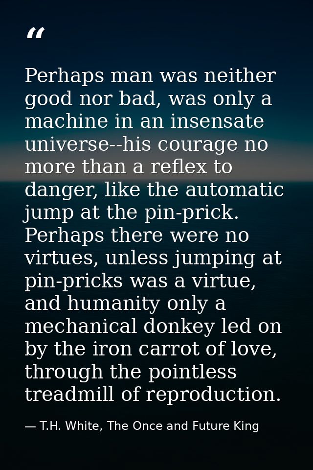 Perhaps man was neither good nor bad, was only a machine in an insensate universe--his courage no more than a reflex to  — T.H. White, The Once and Future King