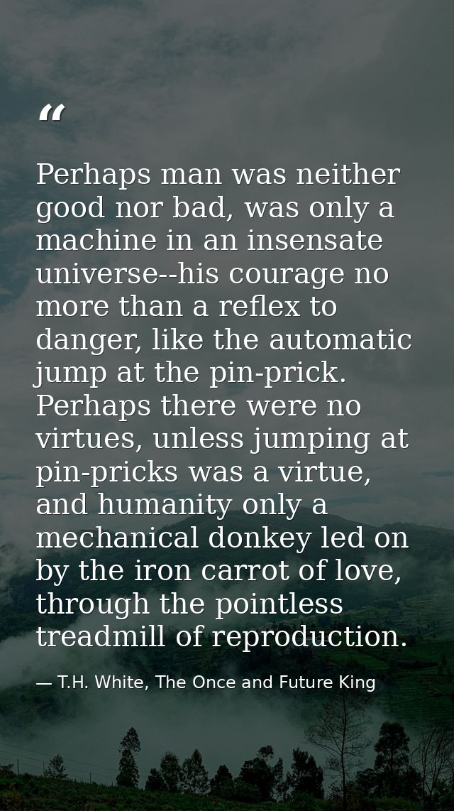 Perhaps man was neither good nor bad, was only a machine in an insensate universe--his courage no more than a reflex to  — T.H. White, The Once and Future King