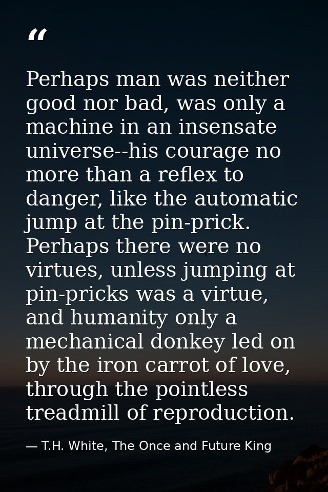 Perhaps man was neither good nor bad, was only a machine in an insensate universe--his courage no more than a reflex to  — T.H. White, The Once and Future King