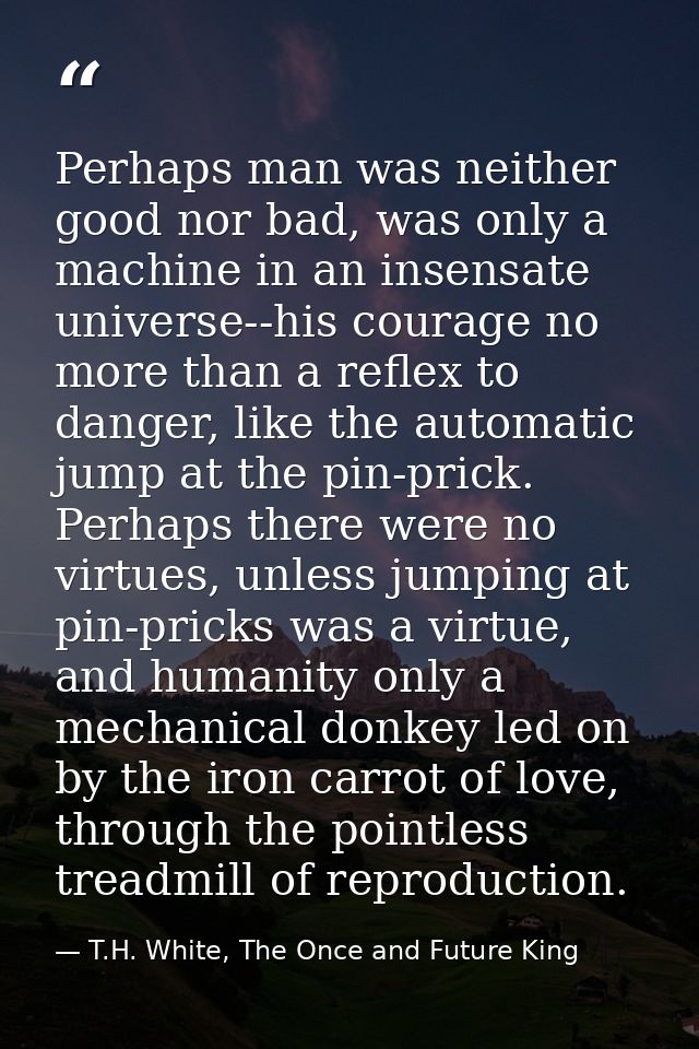 Perhaps man was neither good nor bad, was only a machine in an insensate universe--his courage no more than a reflex to  — T.H. White, The Once and Future King