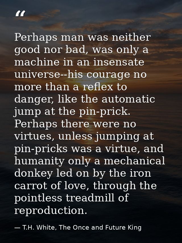 Perhaps man was neither good nor bad, was only a machine in an insensate universe--his courage no more than a reflex to  — T.H. White, The Once and Future King