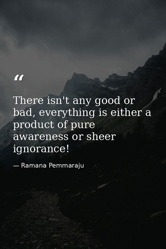 There isn't any good or bad, everything is either a product of pure awareness or sheer ignorance! — Ramana Pemmaraju