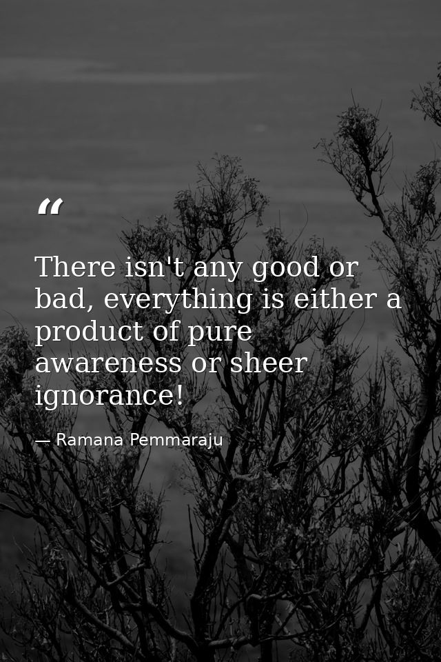 There isn't any good or bad, everything is either a product of pure awareness or sheer ignorance! — Ramana Pemmaraju