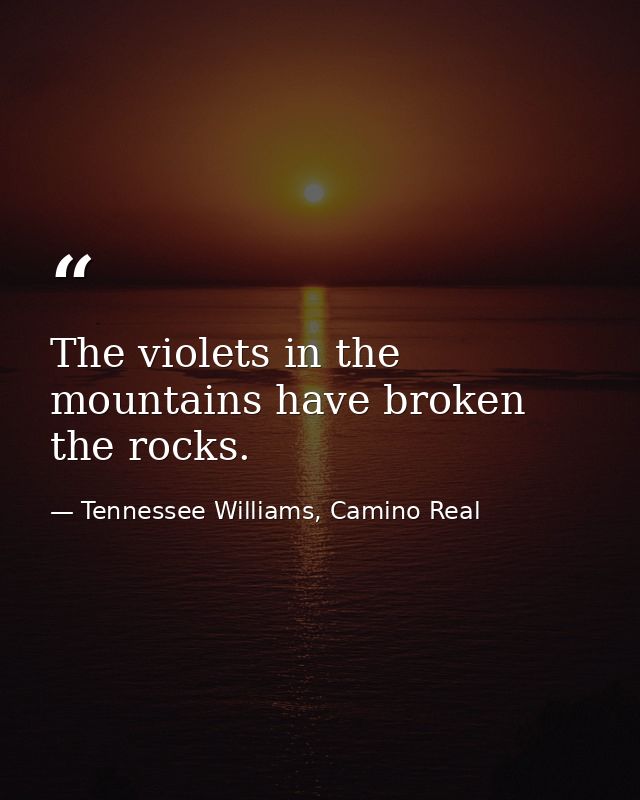 The violets in the mountains have broken the rocks. — Tennessee Williams, Camino Real
