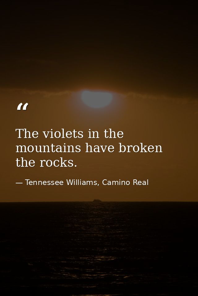 The violets in the mountains have broken the rocks. — Tennessee Williams, Camino Real