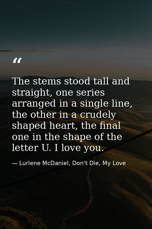 The stems stood tall and straight, one series arranged in a single line, the other in a crudely shaped heart, the final  — Lurlene McDaniel, Don't Die, My Love