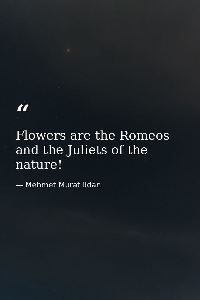 Flowers are the Romeos and the Juliets of the nature! — Mehmet Murat ildan