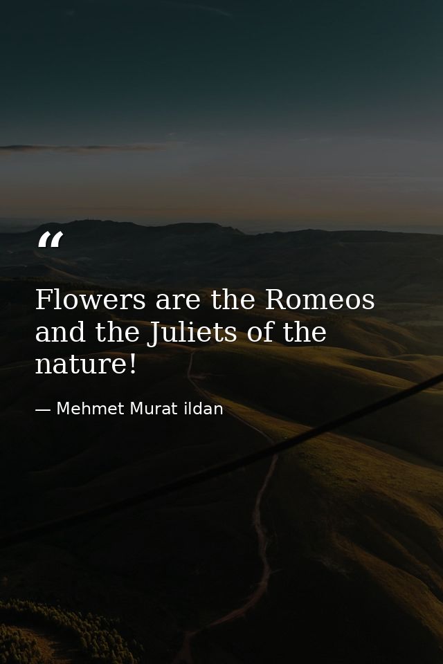 Flowers are the Romeos and the Juliets of the nature! — Mehmet Murat ildan