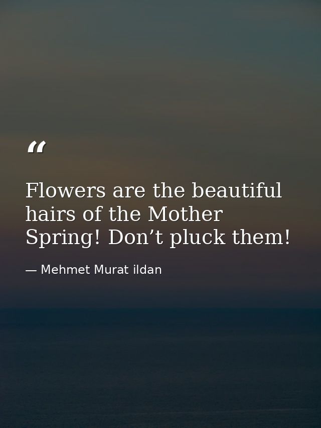 Flowers are the beautiful hairs of the Mother Spring! Don’t pluck them! — Mehmet Murat ildan
