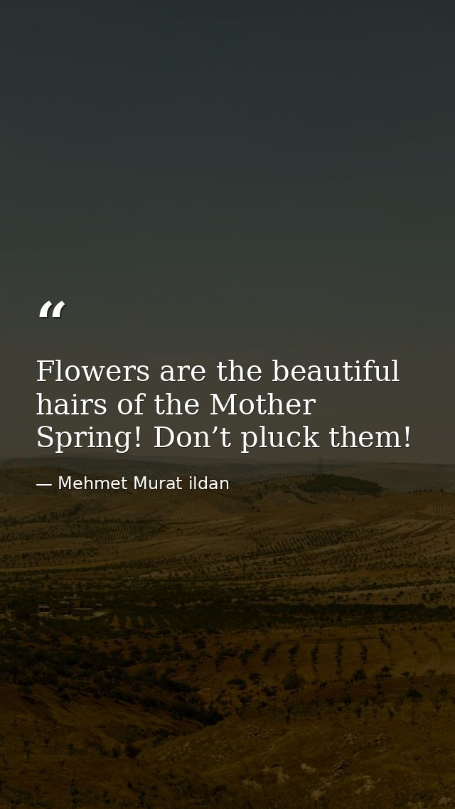 Flowers are the beautiful hairs of the Mother Spring! Don’t pluck them! — Mehmet Murat ildan
