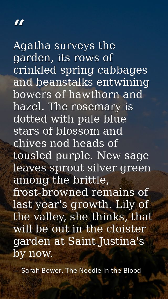 Agatha surveys the garden, its rows of crinkled spring cabbages and beanstalks entwining bowers of hawthorn and hazel. T — Sarah Bower, The Needle in the Blood