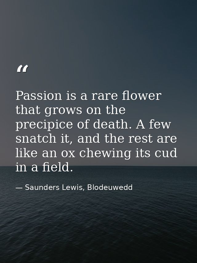 Passion is a rare flower that grows on the precipice of death. A few snatch it, and the rest are like an ox chewing its  — Saunders Lewis, Blodeuwedd