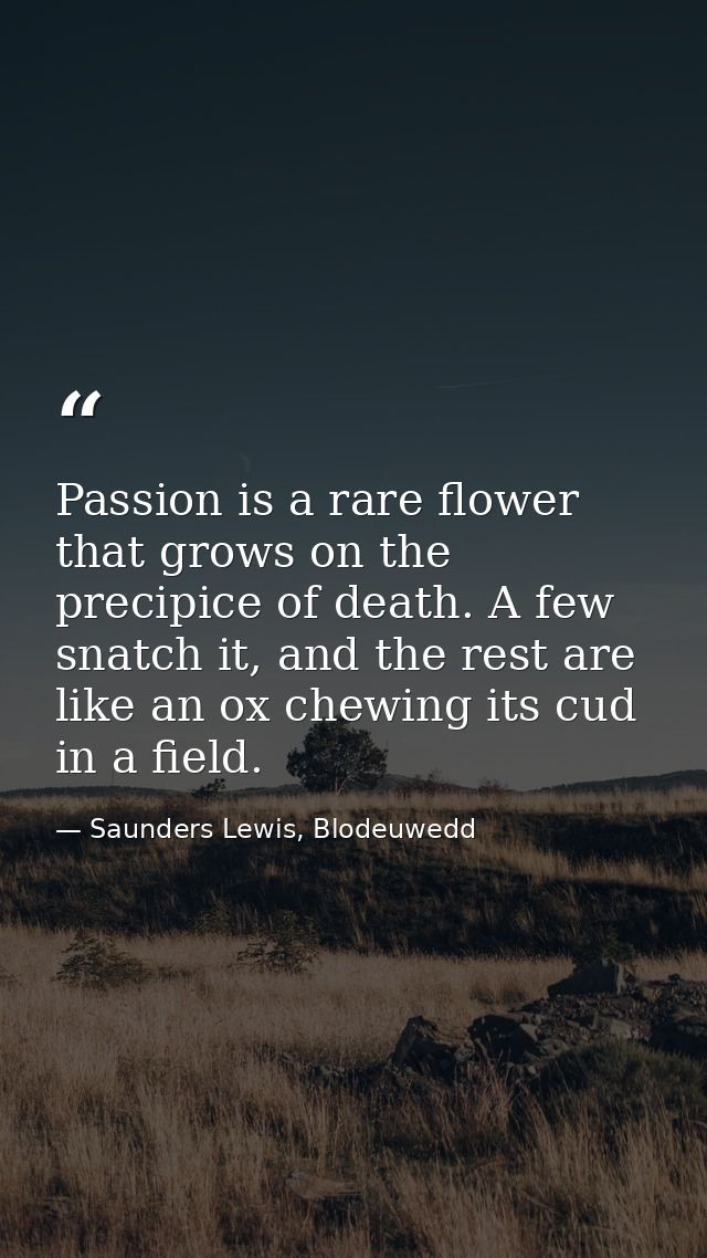 Passion is a rare flower that grows on the precipice of death. A few snatch it, and the rest are like an ox chewing its  — Saunders Lewis, Blodeuwedd