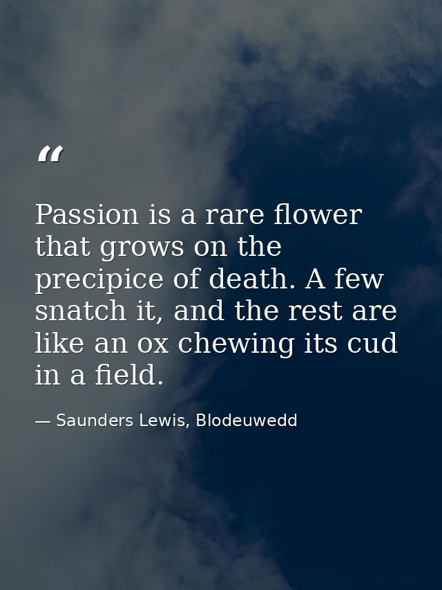 Passion is a rare flower that grows on the precipice of death. A few snatch it, and the rest are like an ox chewing its  — Saunders Lewis, Blodeuwedd