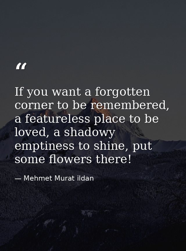 If you want a forgotten corner to be remembered, a featureless place to be loved, a shadowy emptiness to shine, put some — Mehmet Murat ildan