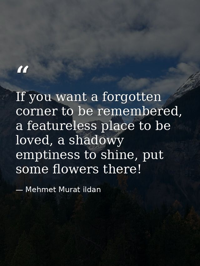 If you want a forgotten corner to be remembered, a featureless place to be loved, a shadowy emptiness to shine, put some — Mehmet Murat ildan