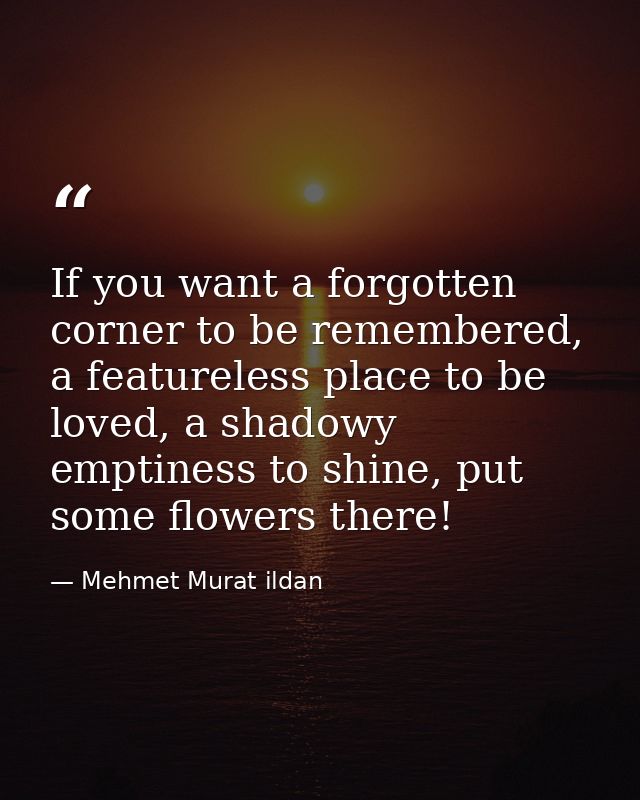 If you want a forgotten corner to be remembered, a featureless place to be loved, a shadowy emptiness to shine, put some — Mehmet Murat ildan