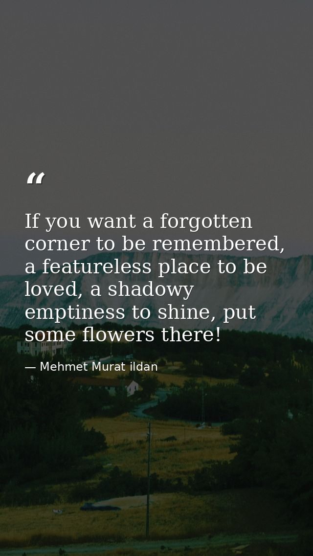 If you want a forgotten corner to be remembered, a featureless place to be loved, a shadowy emptiness to shine, put some — Mehmet Murat ildan
