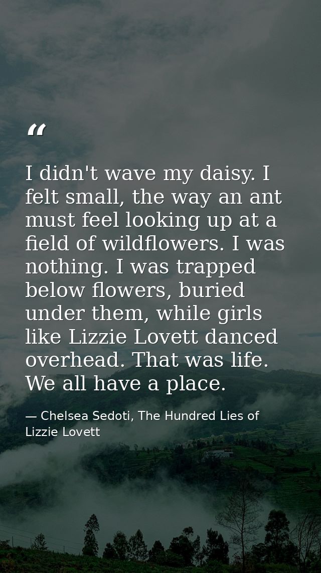 I didn't wave my daisy. I felt small, the way an ant must feel looking up at a field of wildflowers. I was nothing. I wa — Chelsea Sedoti, The Hundred Lies of Lizzie Lovett
