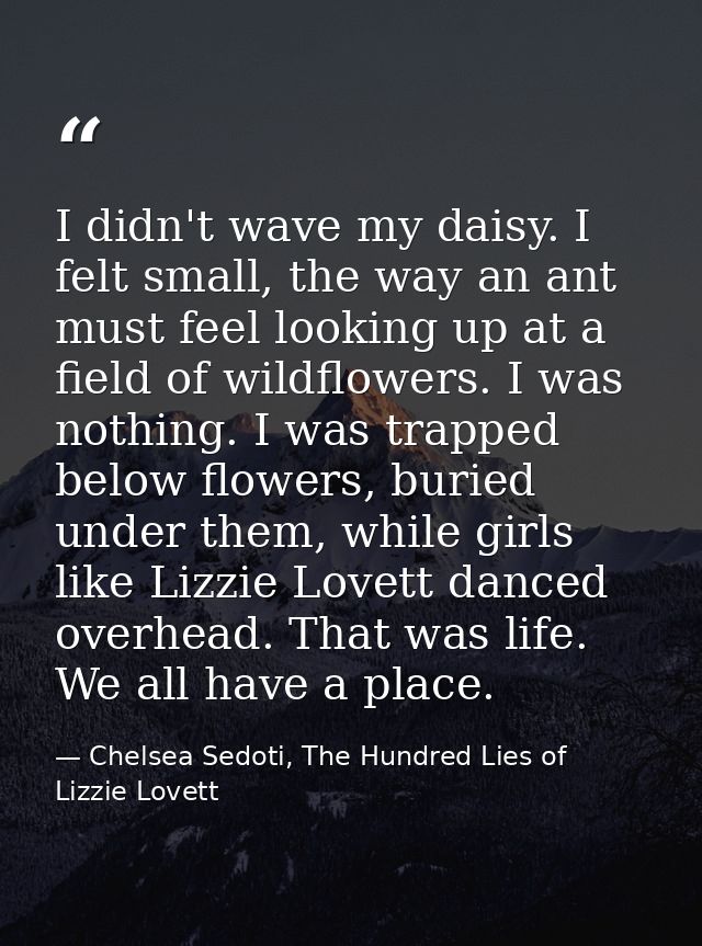 I didn't wave my daisy. I felt small, the way an ant must feel looking up at a field of wildflowers. I was nothing. I wa — Chelsea Sedoti, The Hundred Lies of Lizzie Lovett