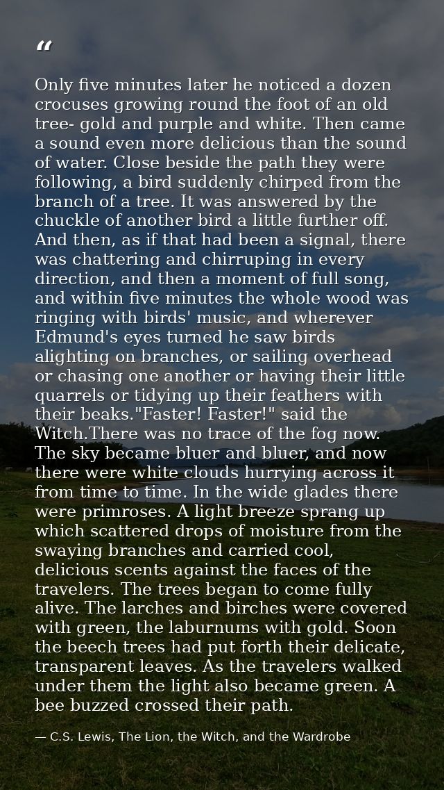 Only five minutes later he noticed a dozen crocuses growing round the foot of an old tree- gold and purple and white. Th — C.S. Lewis, The Lion, the Witch, and the Wardrobe