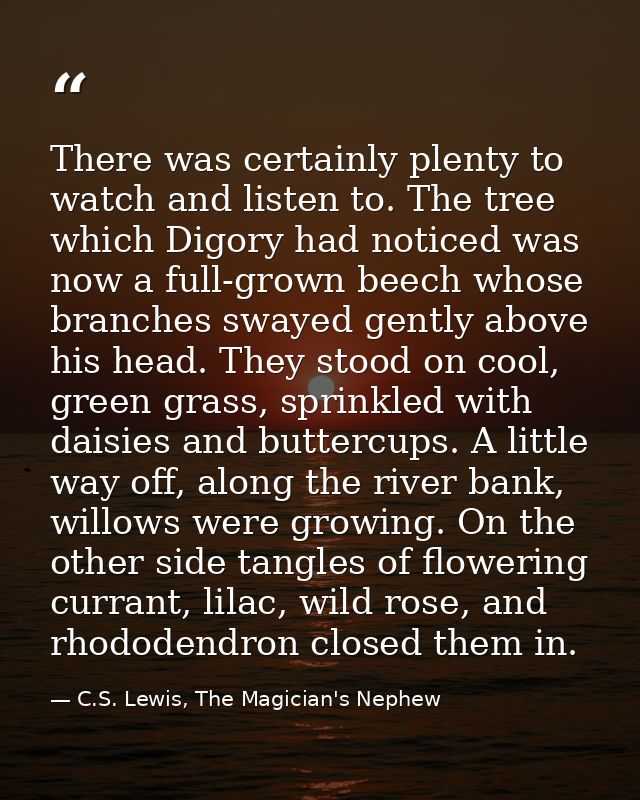 There was certainly plenty to watch and listen to. The tree which Digory had noticed was now a full-grown beech whose br — C.S. Lewis, The Magician's Nephew