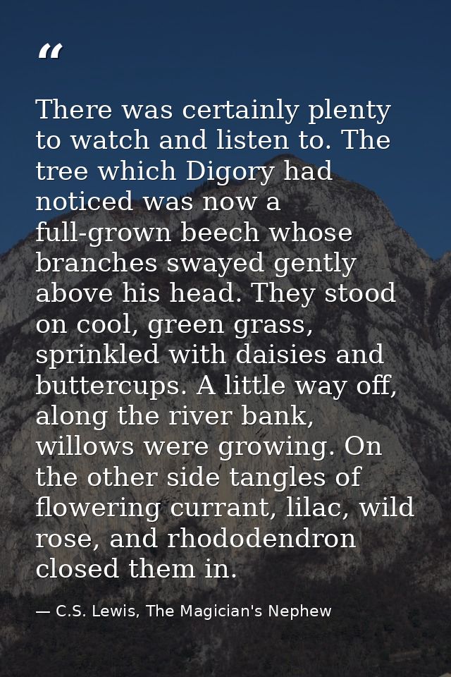 There was certainly plenty to watch and listen to. The tree which Digory had noticed was now a full-grown beech whose br — C.S. Lewis, The Magician's Nephew