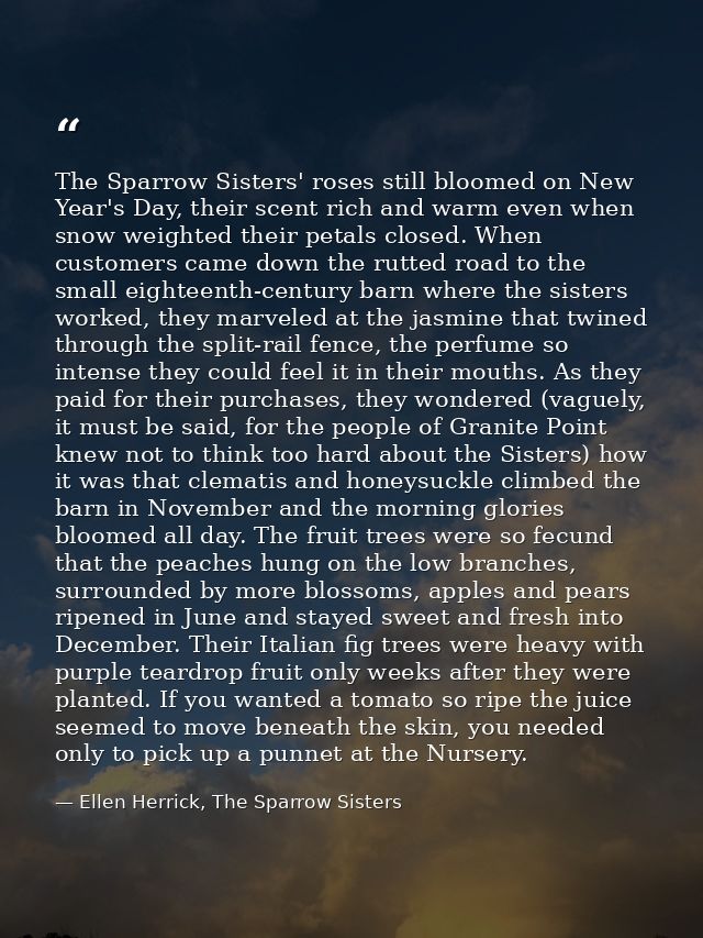 The Sparrow Sisters' roses still bloomed on New Year's Day, their scent rich and warm even when snow weighted their peta — Ellen Herrick, The Sparrow Sisters