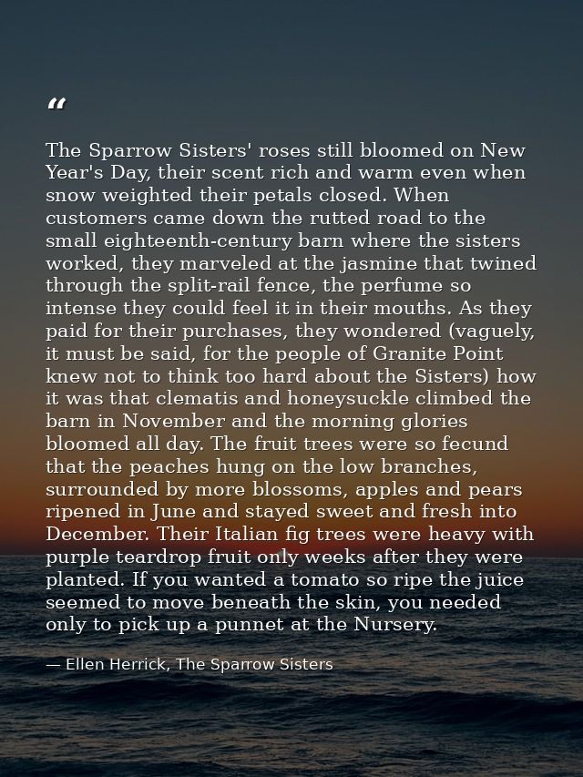The Sparrow Sisters' roses still bloomed on New Year's Day, their scent rich and warm even when snow weighted their peta — Ellen Herrick, The Sparrow Sisters