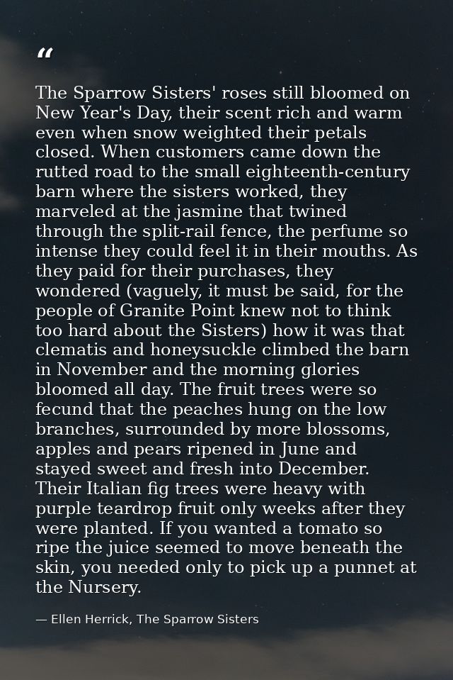 The Sparrow Sisters' roses still bloomed on New Year's Day, their scent rich and warm even when snow weighted their peta — Ellen Herrick, The Sparrow Sisters