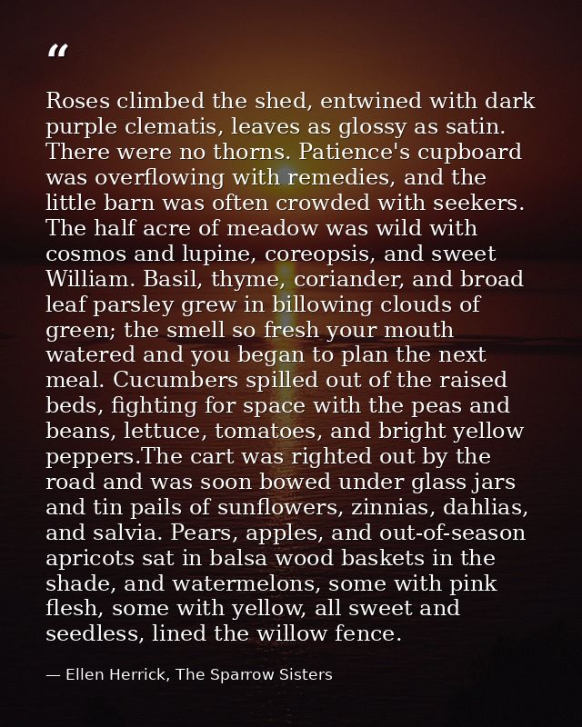 Roses climbed the shed, entwined with dark purple clematis, leaves as glossy as satin. There were no thorns. Patience's  — Ellen Herrick, The Sparrow Sisters