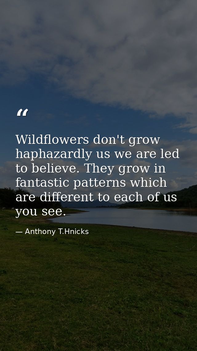 Wildflowers don't grow haphazardly us we are led to believe. They grow in fantastic patterns which are different to each — Anthony T.Hnicks