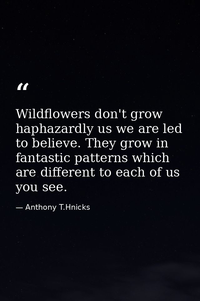 Wildflowers don't grow haphazardly us we are led to believe. They grow in fantastic patterns which are different to each — Anthony T.Hnicks