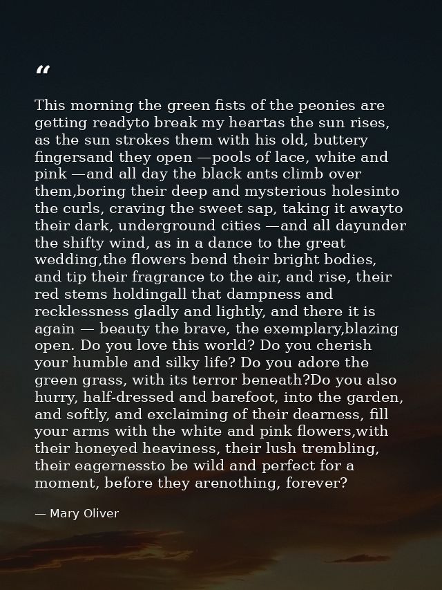 This morning the green fists of the peonies are getting readyto break my heartas the sun rises, as the sun strokes them  — Mary Oliver