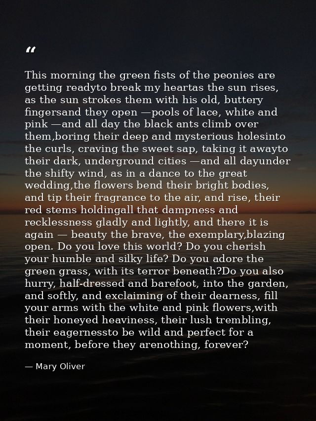 This morning the green fists of the peonies are getting readyto break my heartas the sun rises, as the sun strokes them  — Mary Oliver