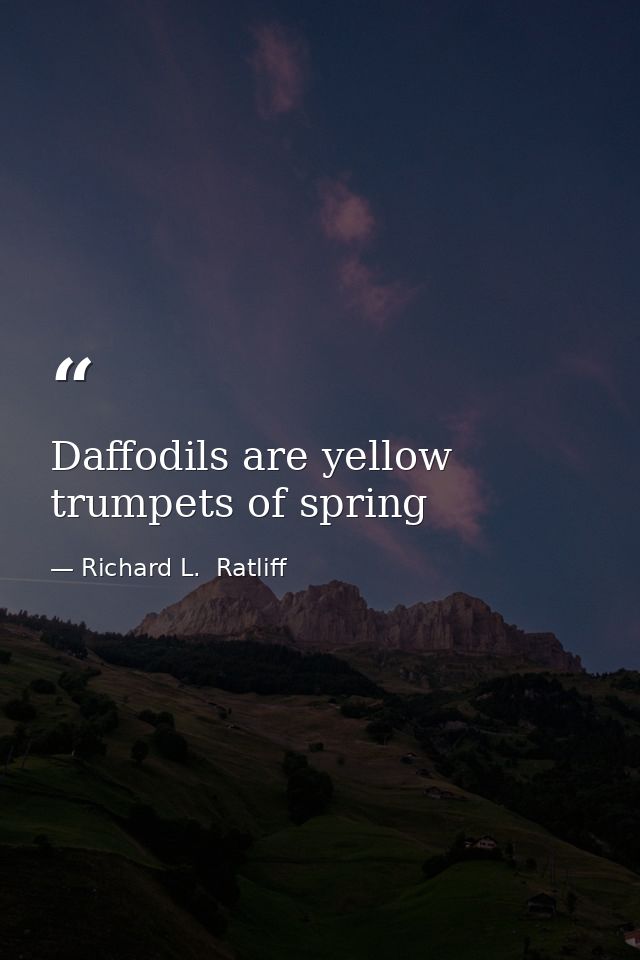 Daffodils are yellow trumpets of spring — Richard L.  Ratliff