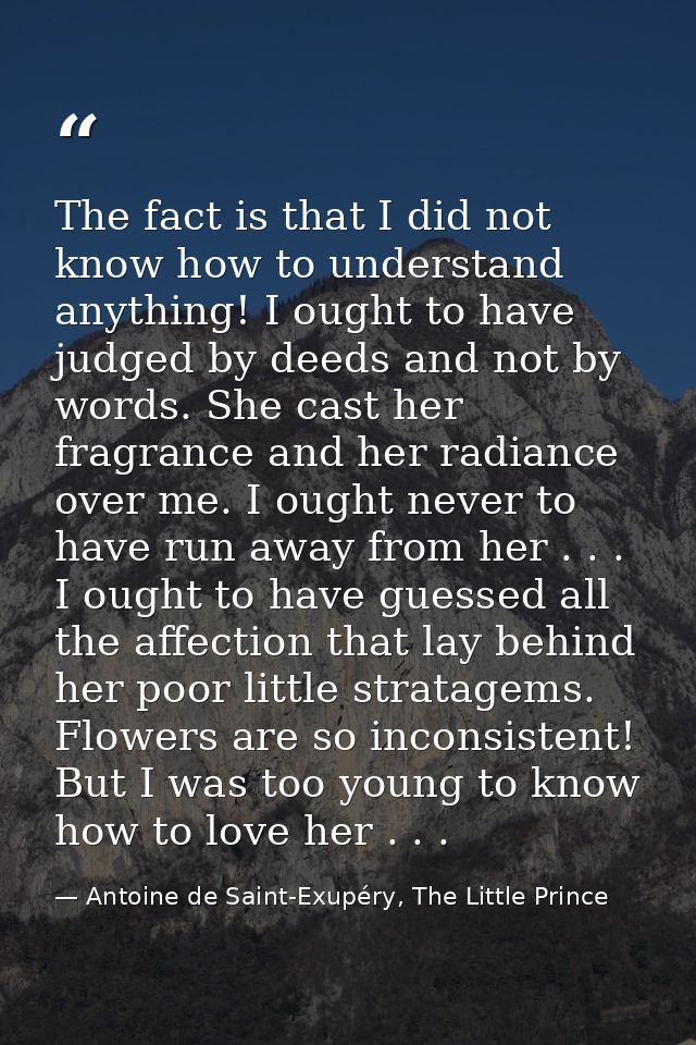 The fact is that I did not know how to understand anything! I ought to have judged by deeds and not by words. She cast h — Antoine de Saint-Exupéry, The Little Prince