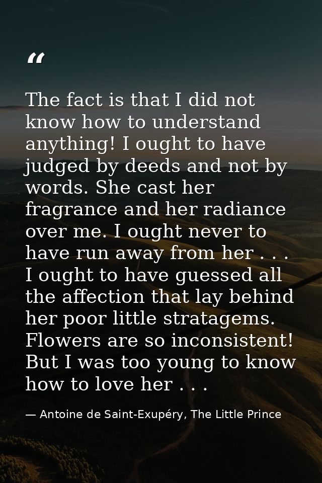The fact is that I did not know how to understand anything! I ought to have judged by deeds and not by words. She cast h — Antoine de Saint-Exupéry, The Little Prince