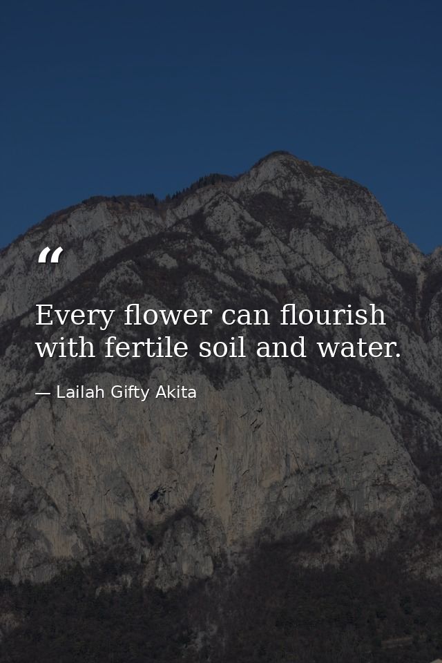 Every flower can flourish with fertile soil and water. — Lailah Gifty Akita