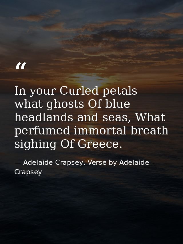 In your Curled petals what ghosts Of blue headlands and seas, What perfumed immortal breath sighing Of Greece. — Adelaide Crapsey, Verse by Adelaide Crapsey