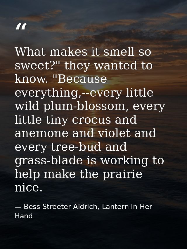 What makes it smell so sweet?" they wanted to know. "Because everything,--every little wild plum-blossom, every little t — Bess Streeter Aldrich, Lantern in Her Hand