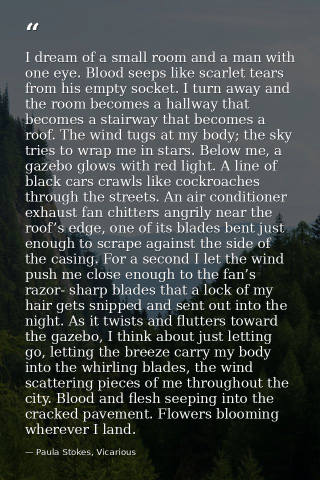 I dream of a small room and a man with one eye. Blood seeps like scarlet tears from his empty socket. I turn away and th — Paula Stokes, Vicarious