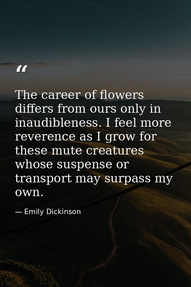 The career of flowers differs from ours only in inaudibleness. I feel more reverence as I grow for these mute creatures  — Emily Dickinson