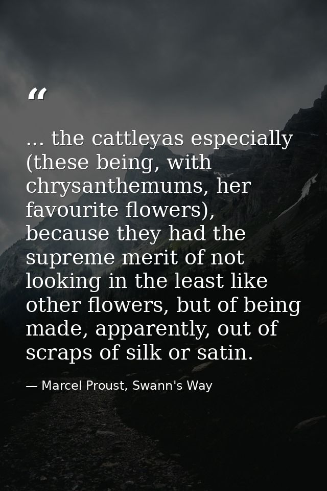 ... the cattleyas especially (these being, with chrysanthemums, her favourite flowers), because they had the supreme mer — Marcel Proust, Swann's Way