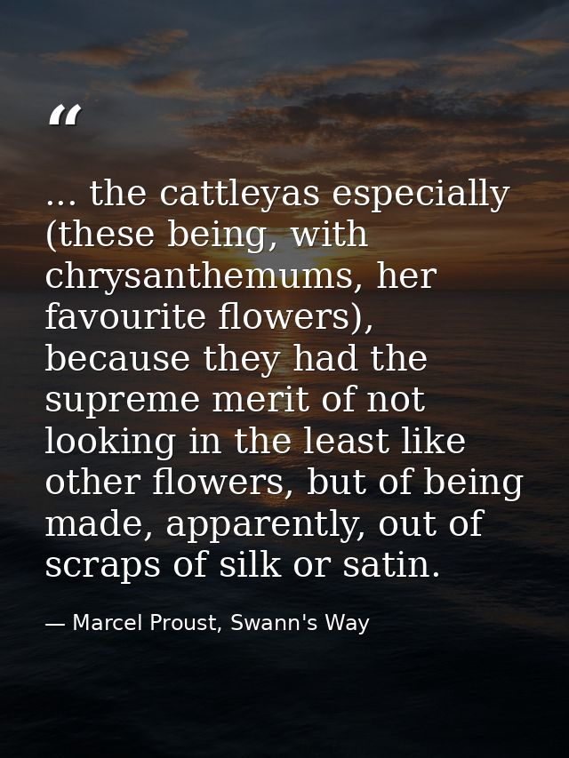 ... the cattleyas especially (these being, with chrysanthemums, her favourite flowers), because they had the supreme mer — Marcel Proust, Swann's Way