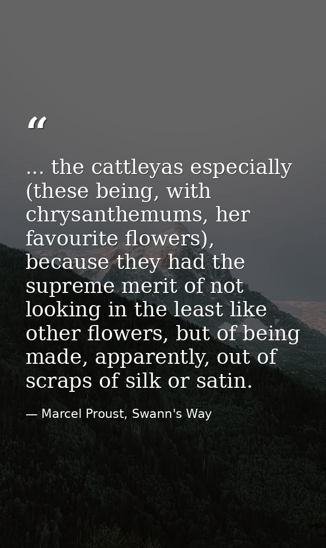 ... the cattleyas especially (these being, with chrysanthemums, her favourite flowers), because they had the supreme mer — Marcel Proust, Swann's Way